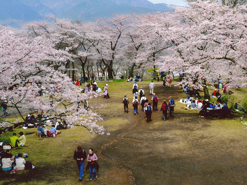 弘法山公園