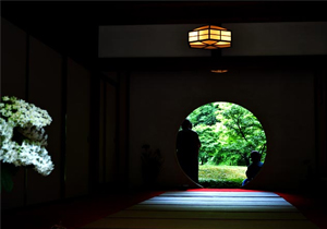 梅雨の時期におすすめのスポット　鎌倉あじさい寺