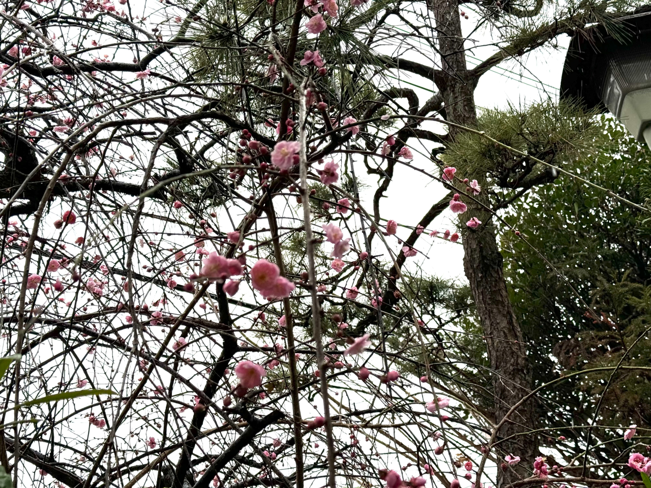 出会いと別れの季節が近づいています。歓送迎会にも当館をご利用ください！